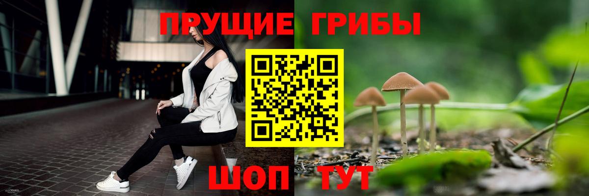 Королёв  где купить   Вход с VPN  Псилоцибиновые грибы мухоморы 